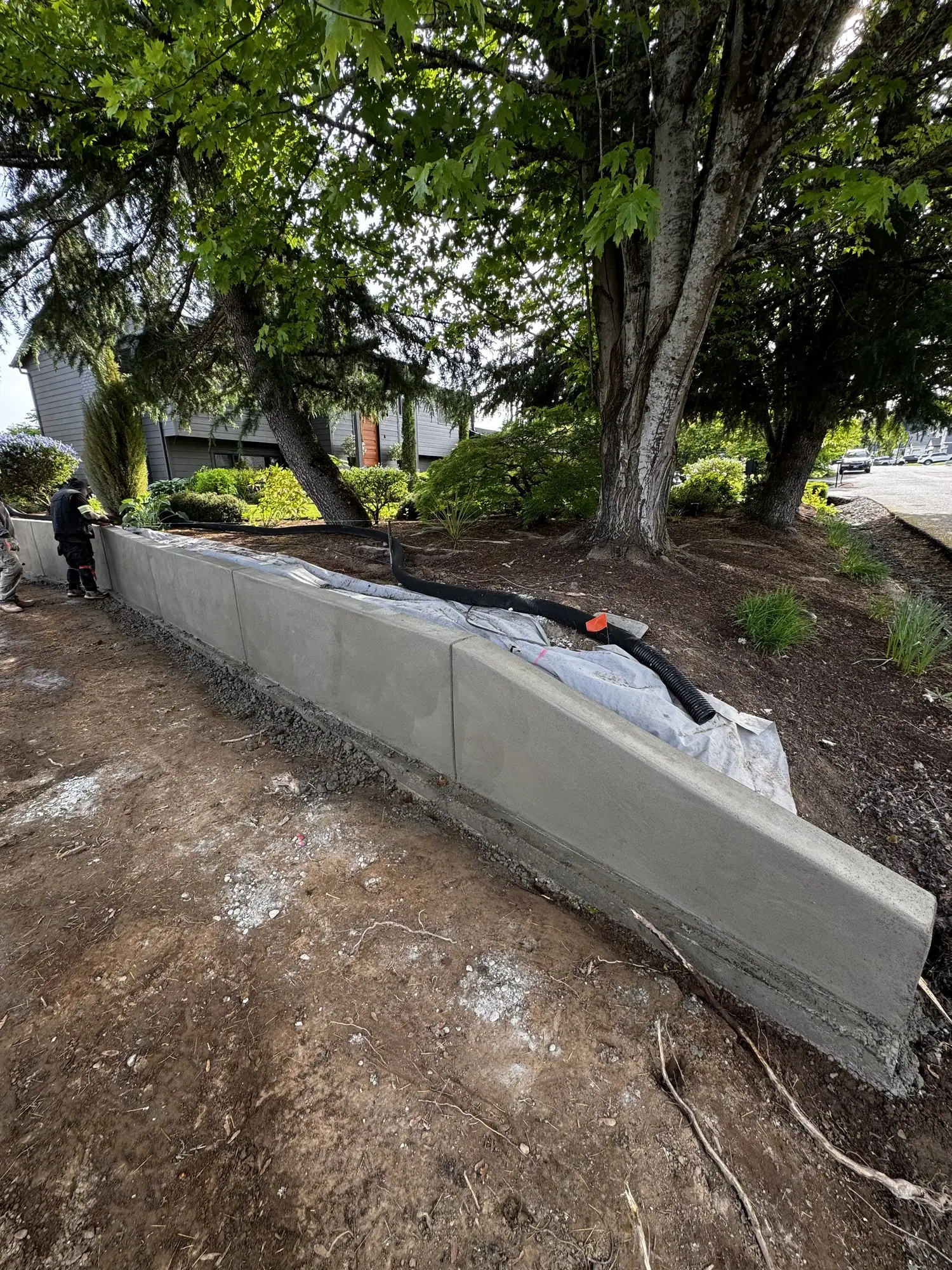 New concrete retaining wall holding back a landscaped bed