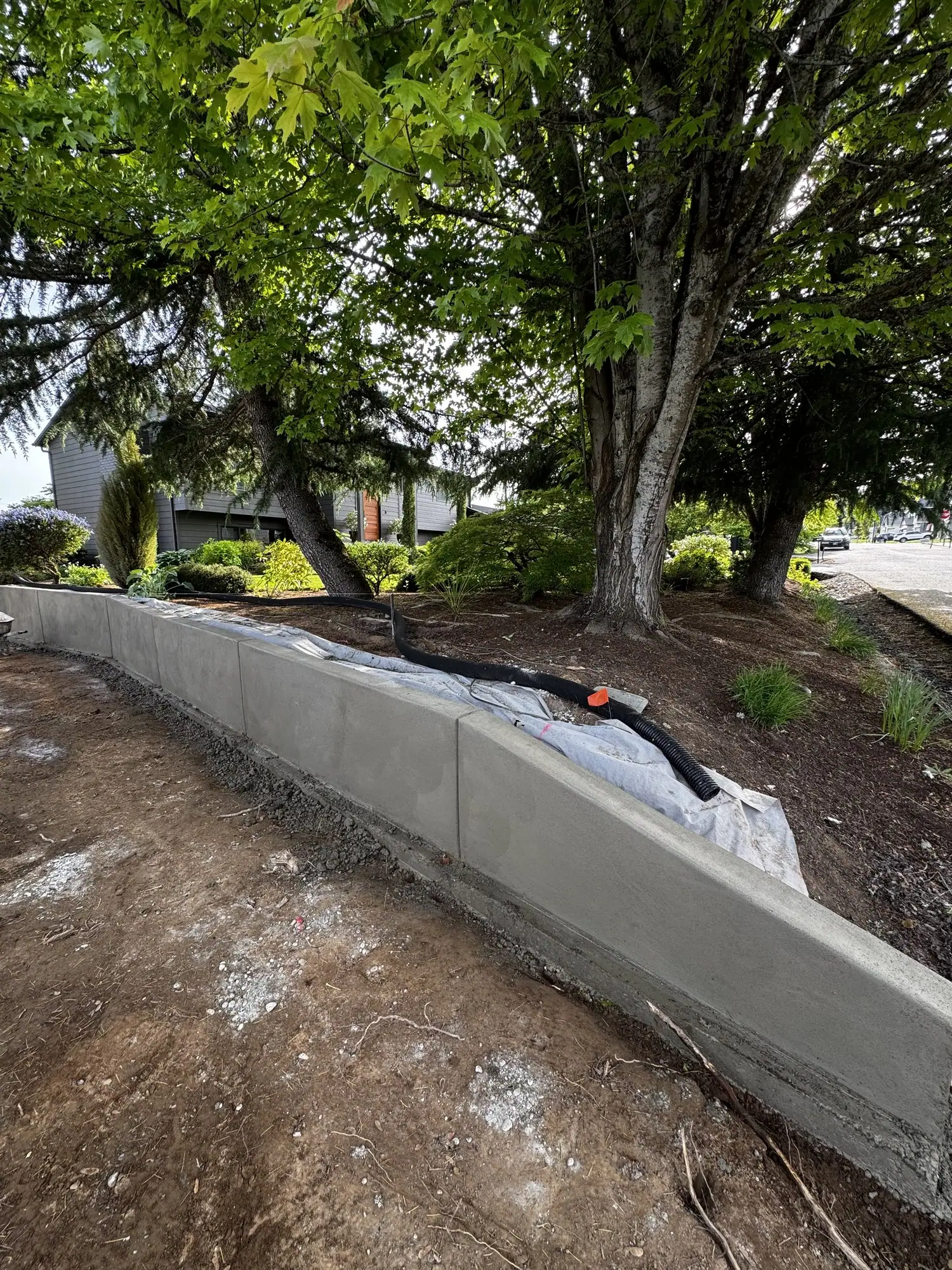 Concrete retaining wall along a planting bed, with a drain pipe behind it